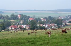Vysocina region