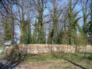 Jewish cemetery