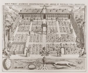 Hortus Botanicus